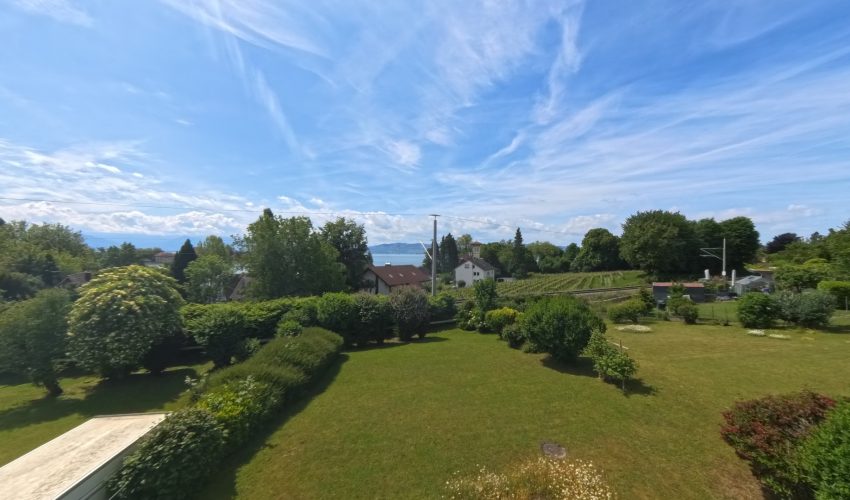 DCIMCamera01IMG_20250524_114442_00_083.ins