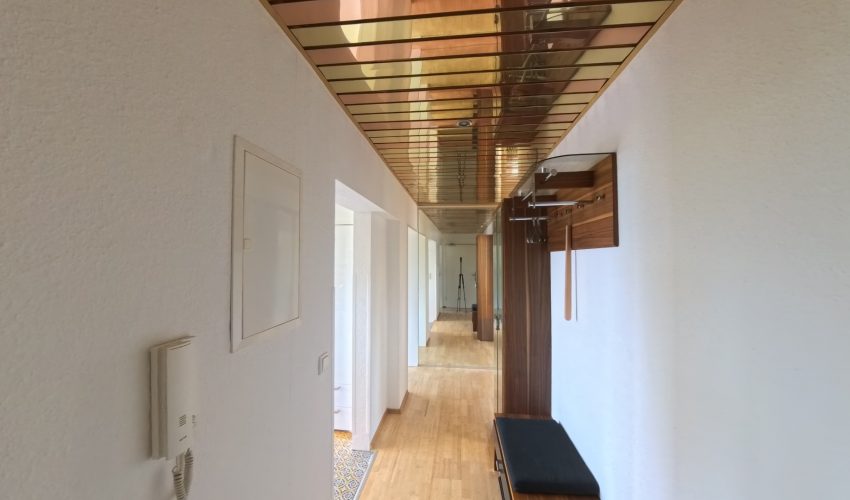 DCIMCamera01IMG_20250524_114603_00_088.ins